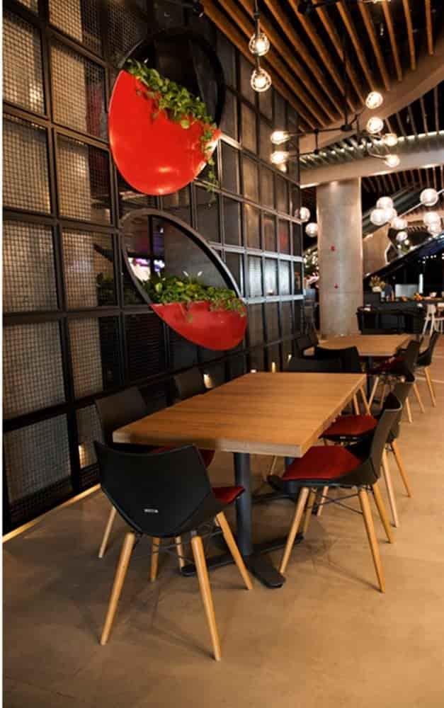 صندلی شل پایه چوبی مدل N831WR نظری